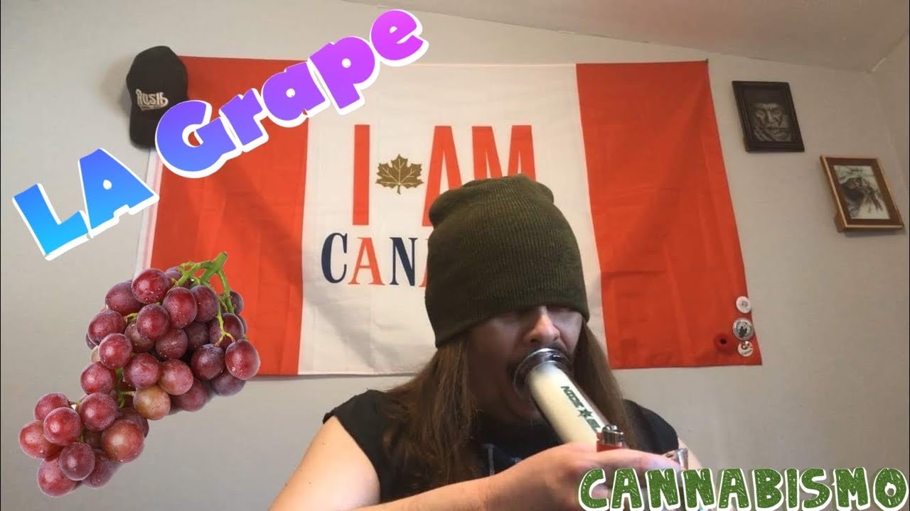 Cigrit Reviews "LA Grape"🍇 (Medical Marijuana) From Cannabismo