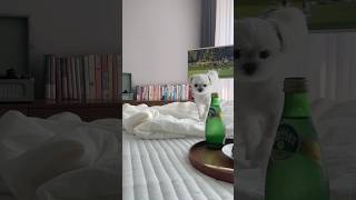 여름살림 여름이불로 교체하기 #살림 #살림브이로그 #살림로그 #살림살이