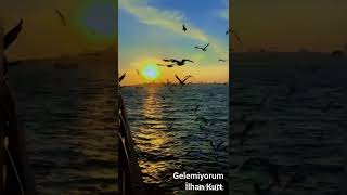 Gelemiyorum - İlhan Kurt