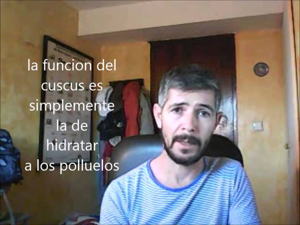 la cría de canarios ¿ es bueno el cuscus para los canarios ? - YouTube