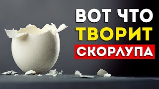 Что будет если есть яичную скорлупу каждый день? (Неожиданно)