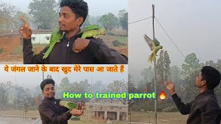 how to trained parrot 🦜😍#paroot #minivlog #vlog #wildlife #birds #birdslover