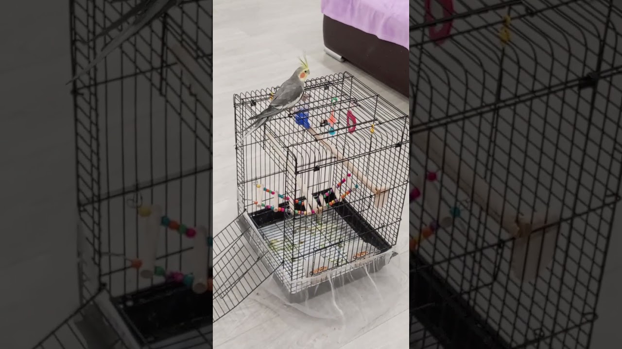 I think I need a cot