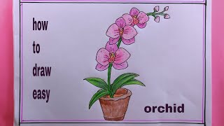 how to draw an Orchid Flower Step by Step/Orchid Flower Drawing