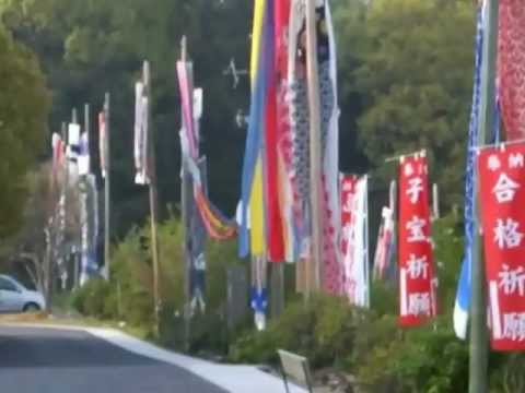 Hiroshima Carp  http://hello.ap.teacup.com/ydoi/