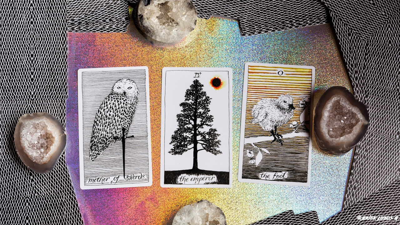 tarot en vivo 26 de enero