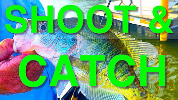 Crappie Dock Shooting Example