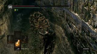 Dark Souls - goddamn ****king wheel skeletons