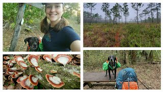 Solo 3 day Adventure ~ Green Swamp East ~ Part 1