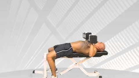 PowerBlock Bench Press