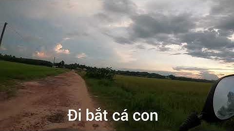 Bắt cá con sát sông vàm cỏ đông