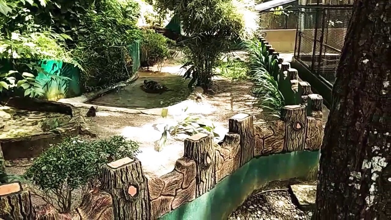 Liburan di Siantar Zoo - YouTube