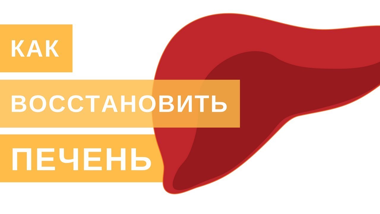 🔥 Как восстановить печень? Посмотрите обязательно!
