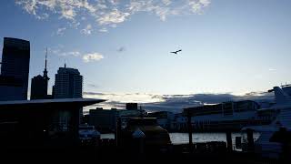 Summer Solstice 2022 Sunset Timelapse, Auckland, New Zealand