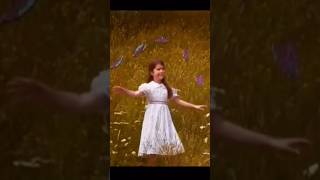 🏔️ Heartsong (1994) - Dollywood Multi-Sensory Film 📽️