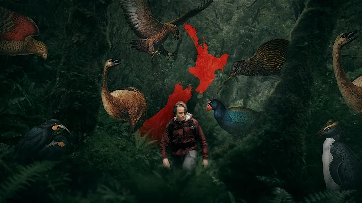 The Forest at the Bottom of the World thumbnail