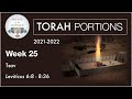 Torah Portions - Week 25 -  Tsav - Leviticus 6:8 - 8:36 (2021-2022 Repost)