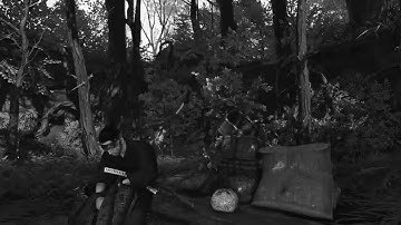 Ghost Of Tsushima Gameplay New game+ Lethal+ Kurosawa Mode Iki island