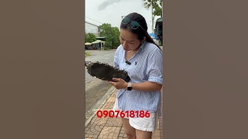 Thuyền buồm #Tượngđồngphongthuỷ#đỉnhđồng #lưđồnghồ # #đồnghồxưa#g  #đồđồnghồđồnghồcodcổ #đồđồngcổ