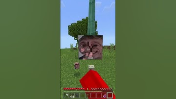 Minecraft Logic.... #shorts