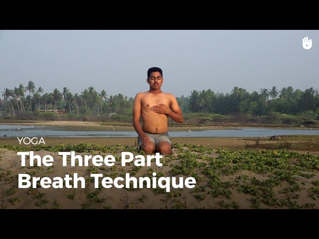 Learn the Three Part Breath Technique - Dirga Pranayama | Yoga class=