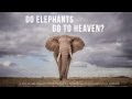 DO Elephants Go To Heaven? Kickstarter Crowdfunder