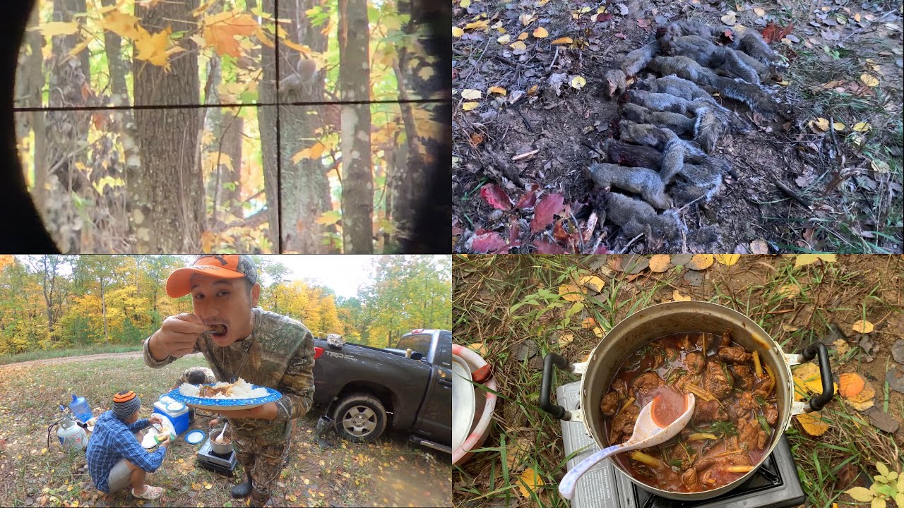 MN squirrels hunting in public land 2021 YouTube