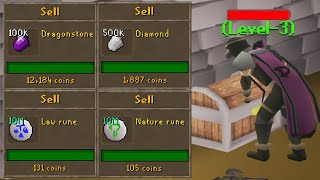 Stopping a 155 Billion GP Per Month Bot Farm | Lvl 3 to 2B from Scratch #2