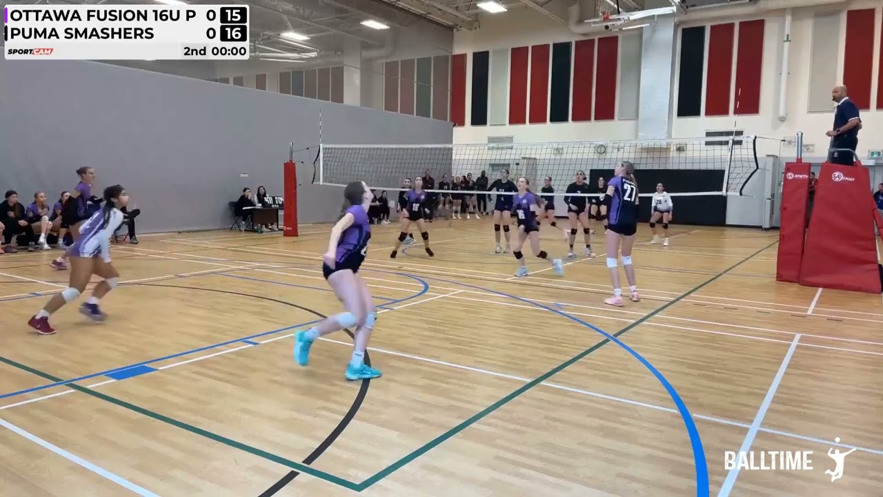 As of Late OFVC 16UG Purple 11-2024