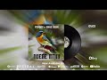 Ferooz Feat. Shaz Dear - Ndege Mtini (Official Audio) Mp3 Song
