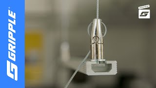 Angel T19 | Product Focus