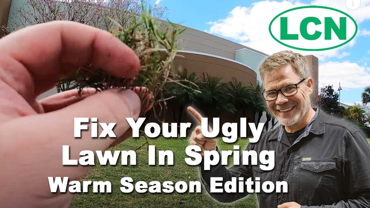 Fix Your Ugly Lawn In Spring 2021 - Warm Season Edition