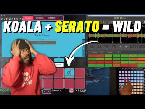 I Put Serato Sample inside Koala Sampler...The Results Got Crazy