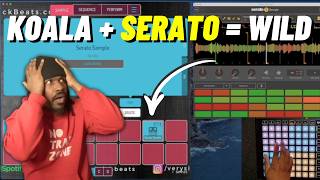 I Put Serato Sample inside Koala Sampler...The Results Got Crazy