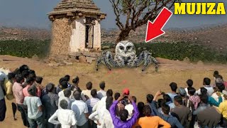 АЛЛОҲНИНГ ҚУДРАТИГА ҚАРАНГ...