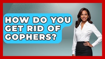How Do You Get Rid Of Gophers? - Insects and Invaders