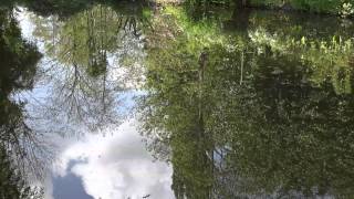Monet's Giverny in 4K Video Monet's Giverny in 4K Video