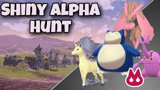 LIVE : Pokemon legends arceus shiny alpha hunting