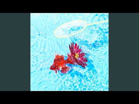Putar Aster - KANA-BOON