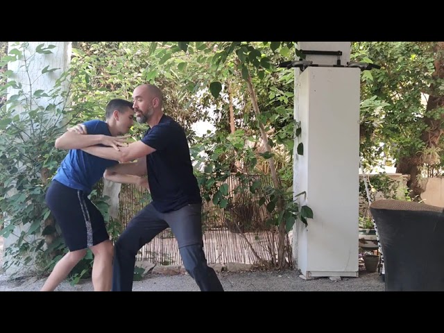 דחיפות ידיים (tui shou)