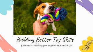 Teach Your Dog How to Play With You! | Building Better Toy Skills by Pup to Perfection 779 views 2 years ago 10 minutes, 36 seconds