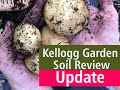 Update Review of Kellogg Garden Organics Raised Bed