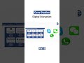 Case Studies of Digital Disruption 5 | Digital Dojo | Digital Marketing Academy | Digital Marketing