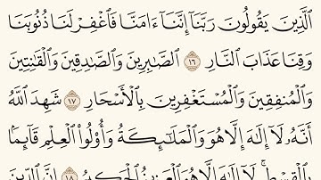 سورة ال عمران (الآيات 16-22) الشيخ سعد الغامدي