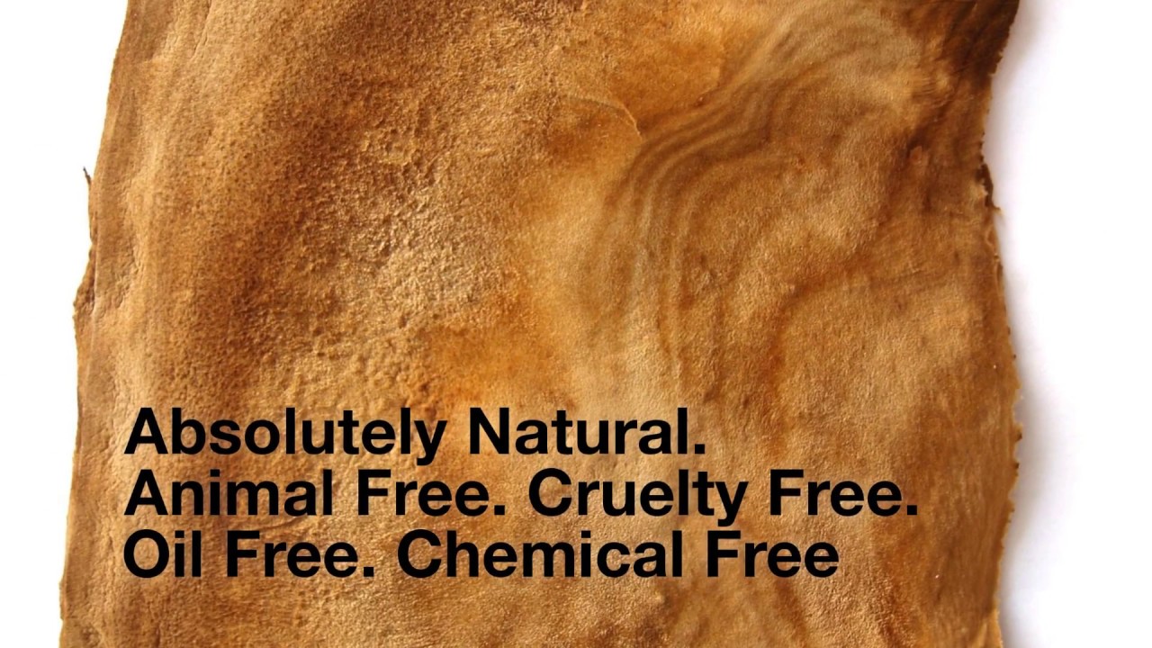 MUSKIN VEGAN LEATHER - Mushroom leather 100% natural - Grow Wild - YouTube