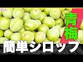 簡単【青梅シロップ】（梅ジュース）プロのレシピ/簡単に作るコツ！教えます。