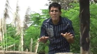Version 1 of the video