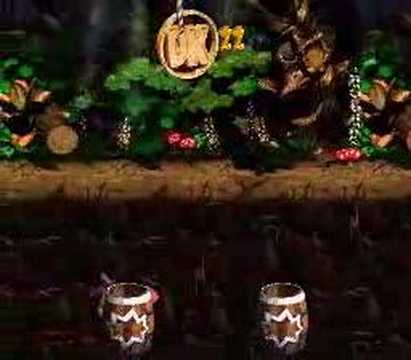 donkey kong country 2 dk coins