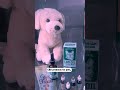 This Alien-Themed Dispensary in Long Island Has a Claw Machine