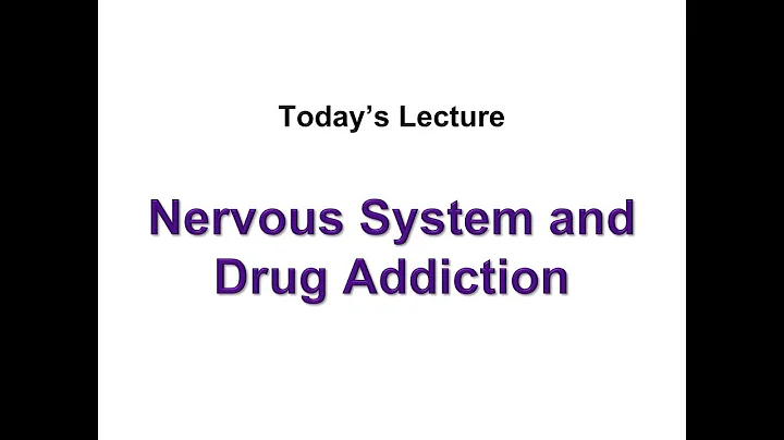 19 Nervous System and Drug Abuse
